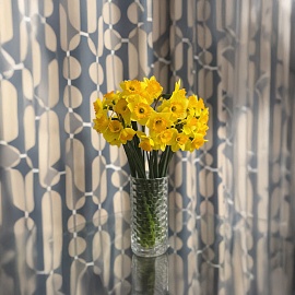 Смотреть все