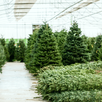 Большой ассортимент продукции: