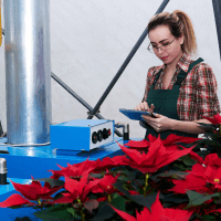 Гарантия качества